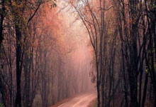 读《稻草人》：于童真中洞察社会与人性