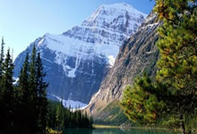 读《稻草人》：于童真中洞察社会与人性